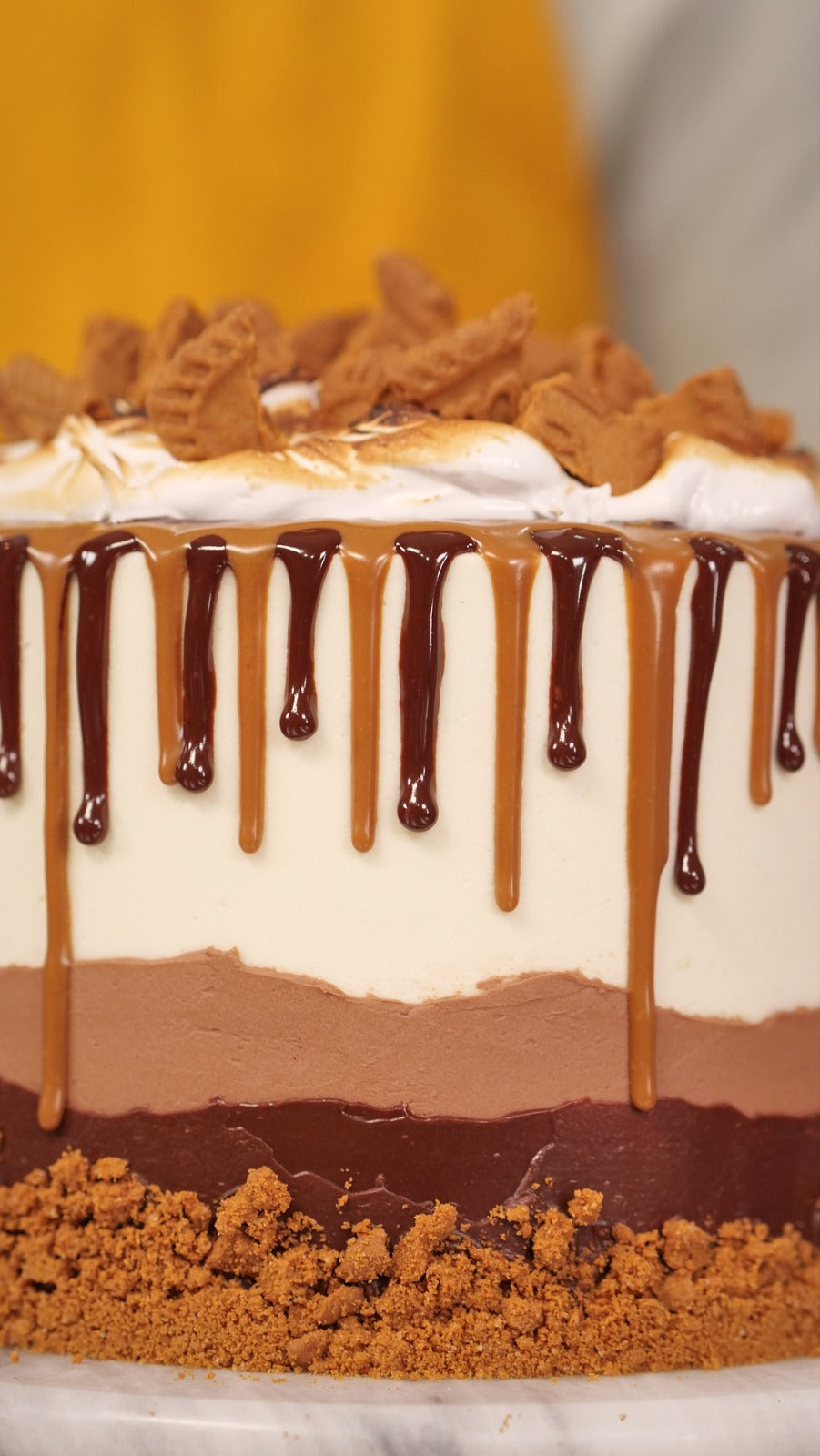 The EPIC Biscoff S'Mores Cake!