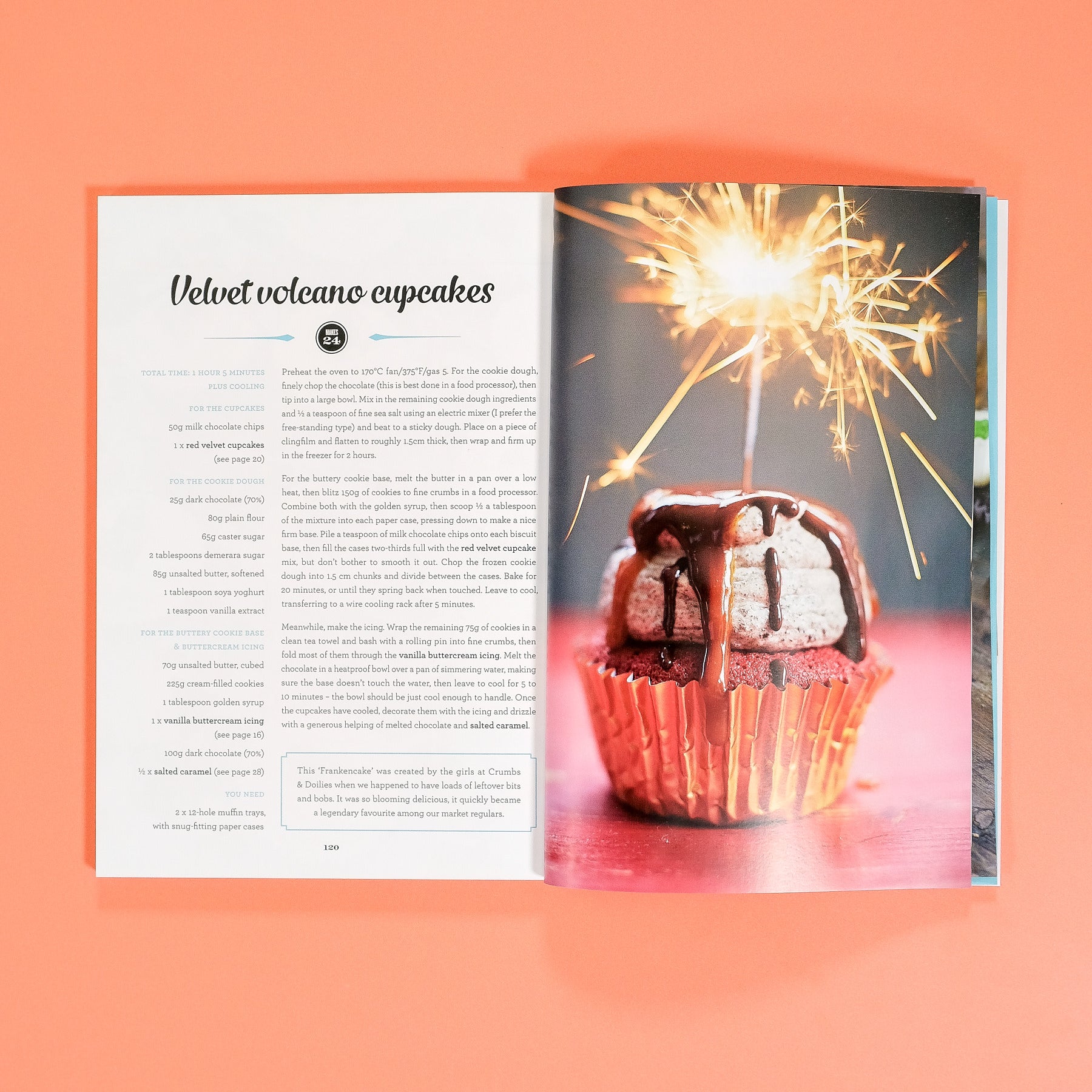 The Cake Book - Cupcake Jemma